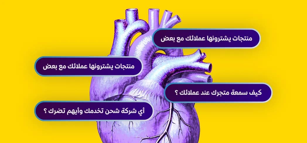 نبض زد: رؤى عن العملاء والمنتجات وأداء الشحن