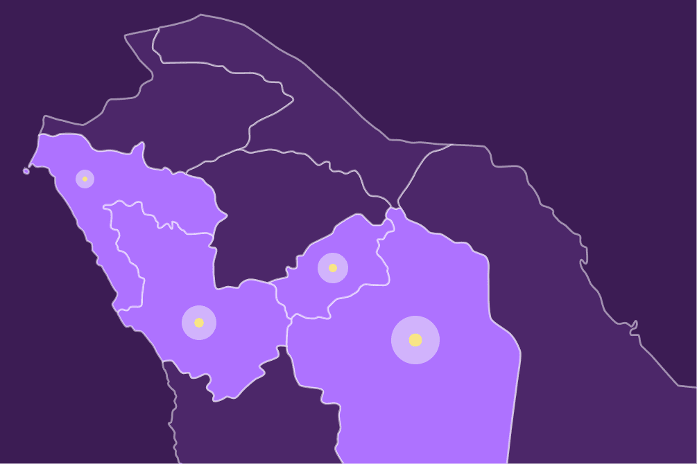 Custom Delivery Areas image